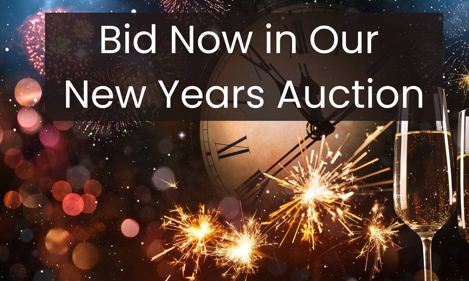 Bid Now in Our New Years Auction
